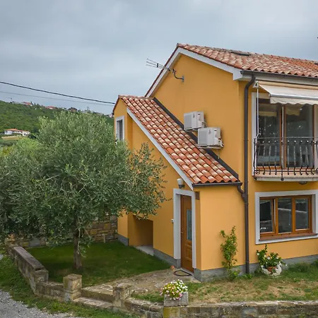 House In The Vineyards - Happy Ankaran