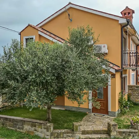 House In The Vineyards - Happy Ankaran