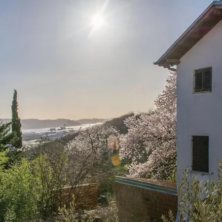 House In The Vineyards - Happy Casa de Férias *