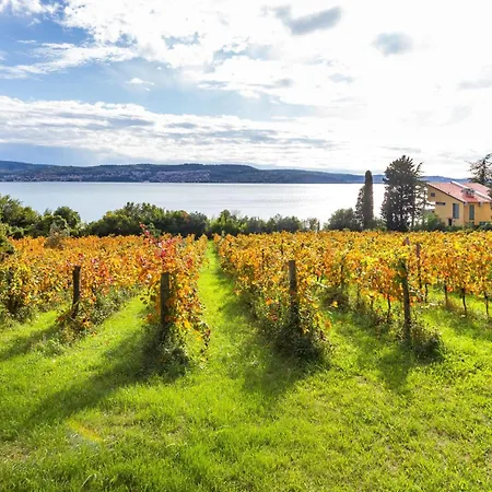 Casa de Férias House In The Vineyards - Happy
